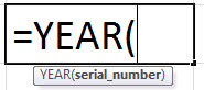 YEAR Formula in Excel