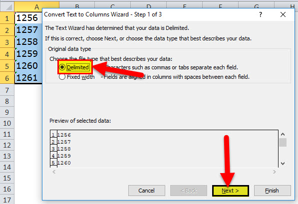 Using Text to Column Step 3