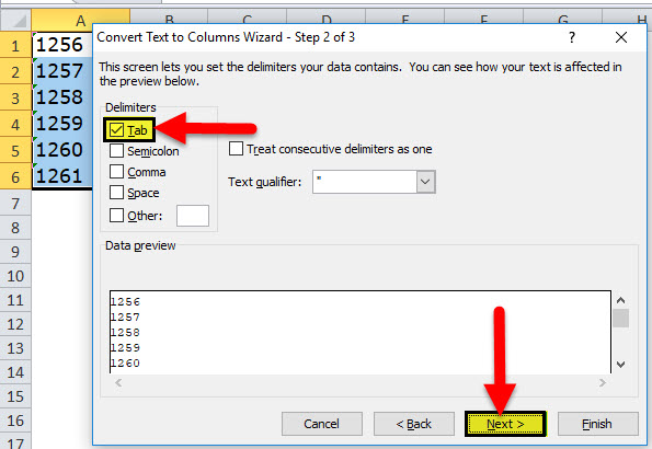 Using Text to Column Step 4