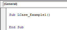 excel vba Lcase example 1.1