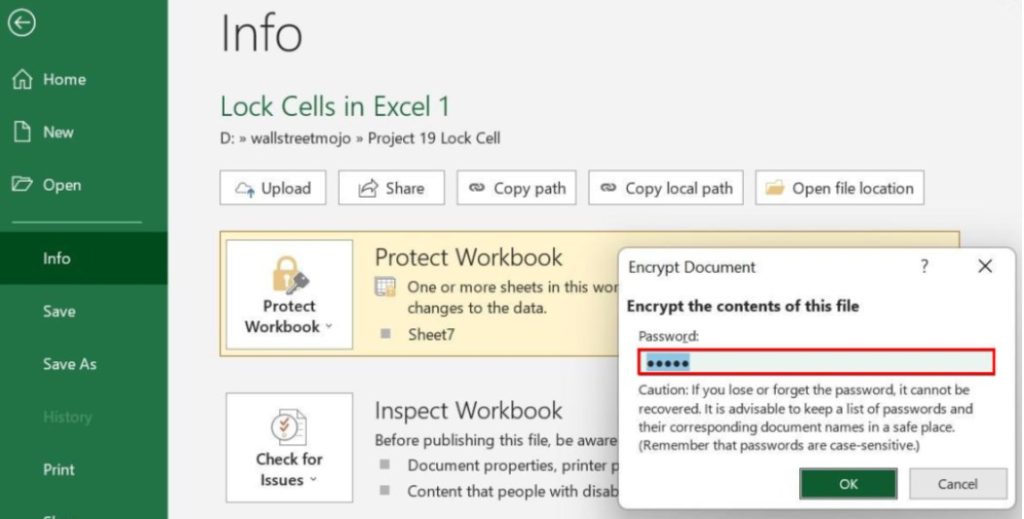 Protect workbook in Excel - Example 2 - Step 5