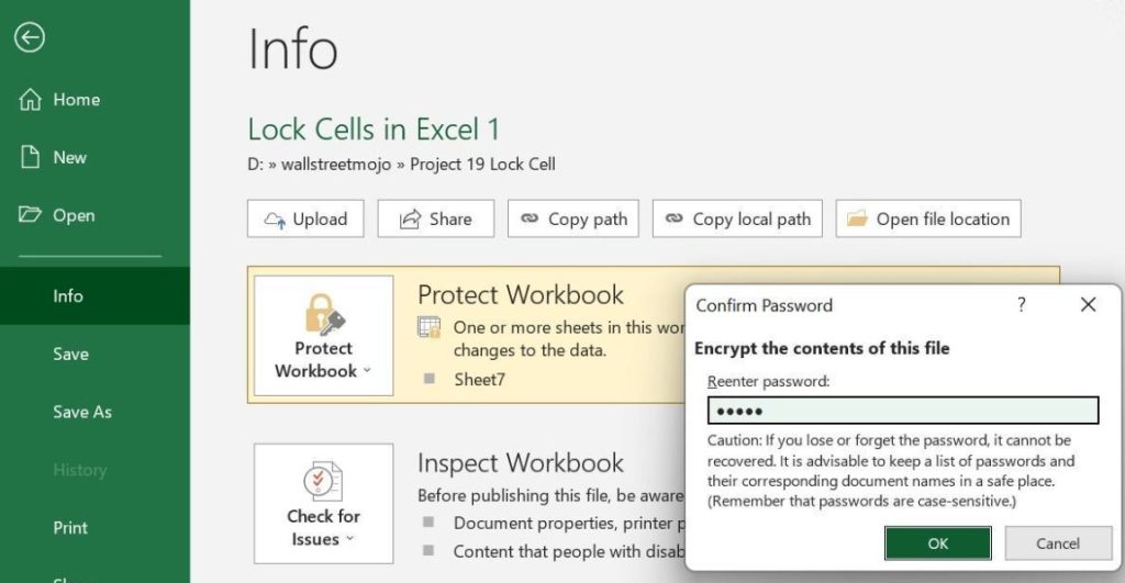 Protect workbook in Excel - Example 2 - Step 5 - password