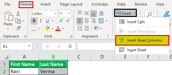 Insert Columns Example 1-1