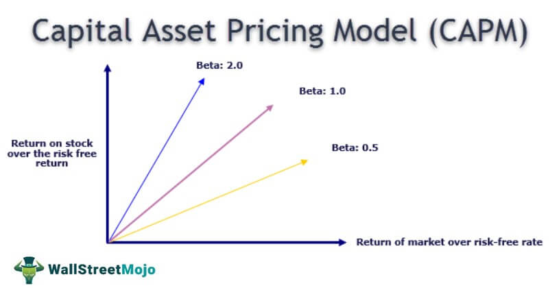 Capital Asset Pricing Model (CAPM)