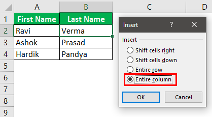 Insert Columns Example 2-1