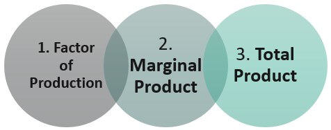 Components of Law of diminishing returns