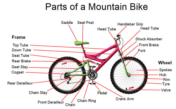 Mountain Bike