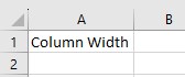 Excel Column Auto Width Intro - Output