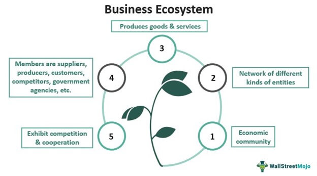 Business Ecosystem Definition Examples Model Types