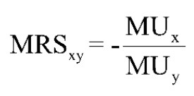 MRS representation - Formula.jpg