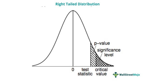 Right Tailed Distribution