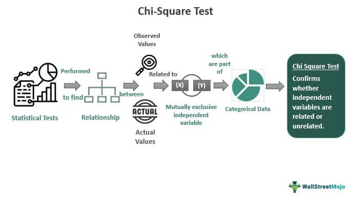 Chi Square Test