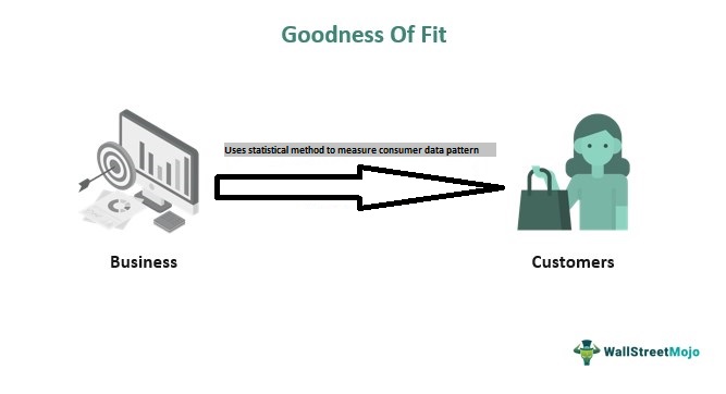 Goodness-Of-Fit Meaning