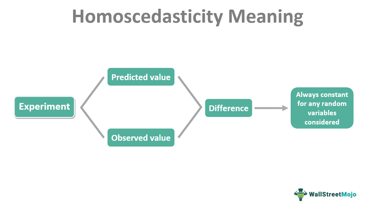 Homoscedasticity Meaning