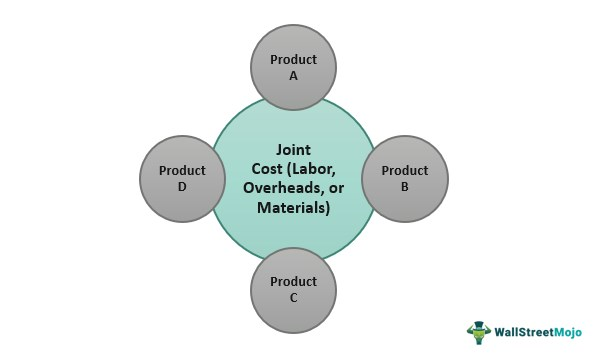 Joint Cost