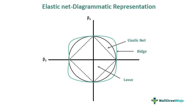 Elastic net Diagrammatic Representation