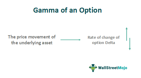 Gamma Of An Option