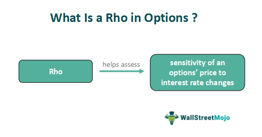 Rho in Options Meaning