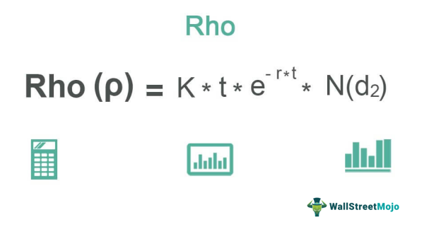 Rho in Options Formula