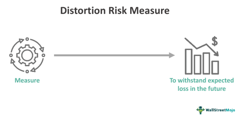 Distortion Risk Measure