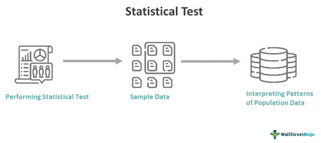 What Is The Statistical Test