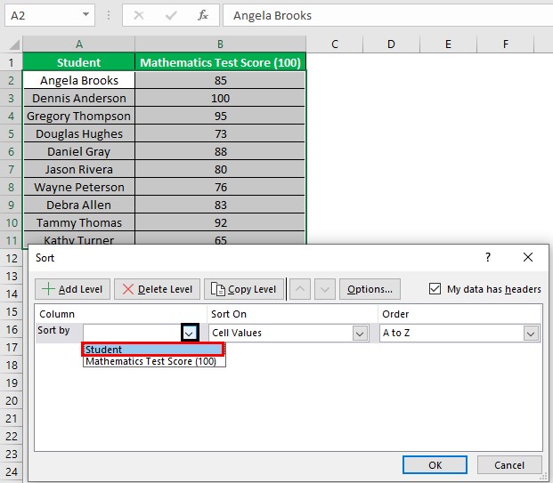 Alphabetize In Excel - Example 3 - Step 2