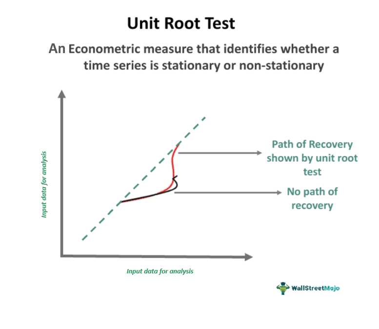 What Are Unit Root Tests